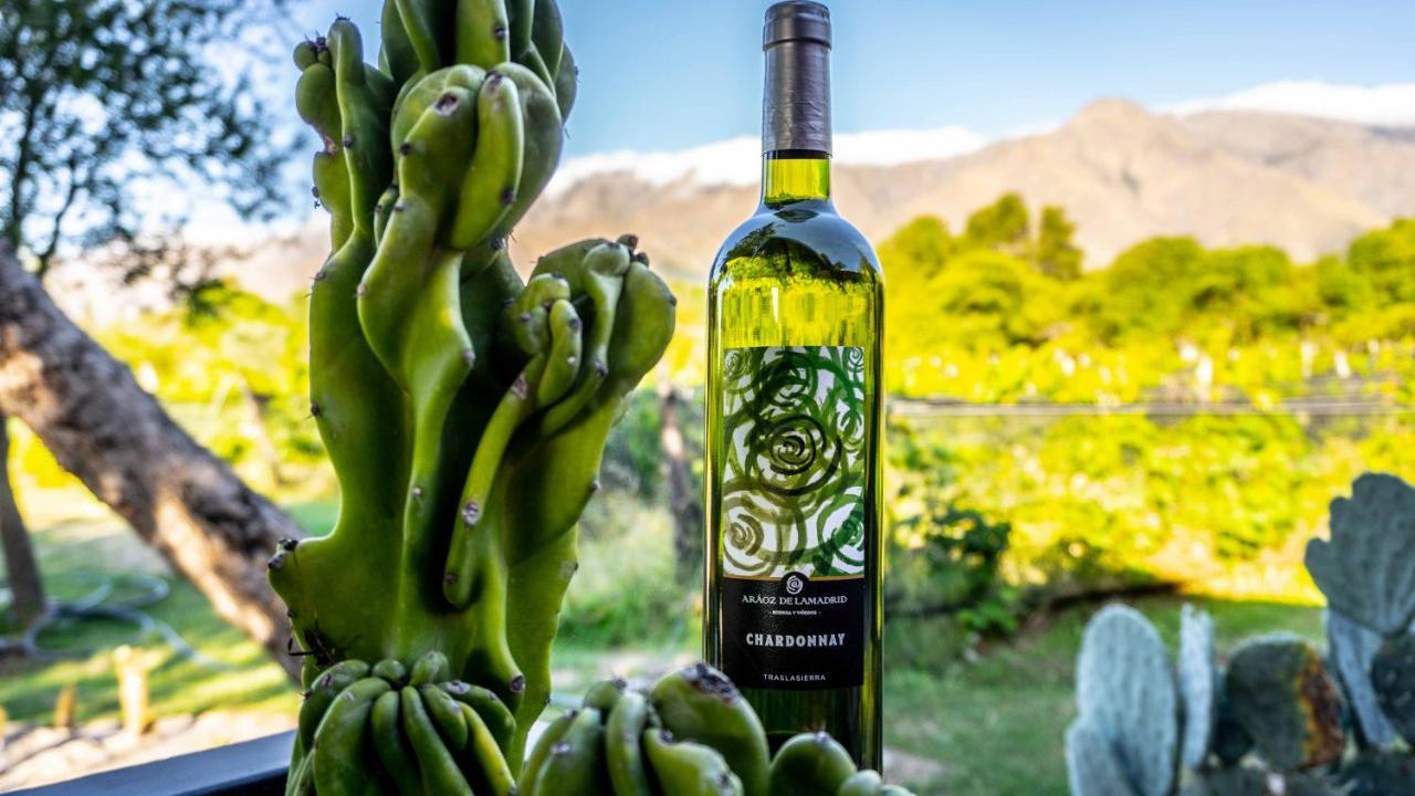 Araoz De Lamadrid Hotel&Bodega سان خافيير المظهر الخارجي الصورة