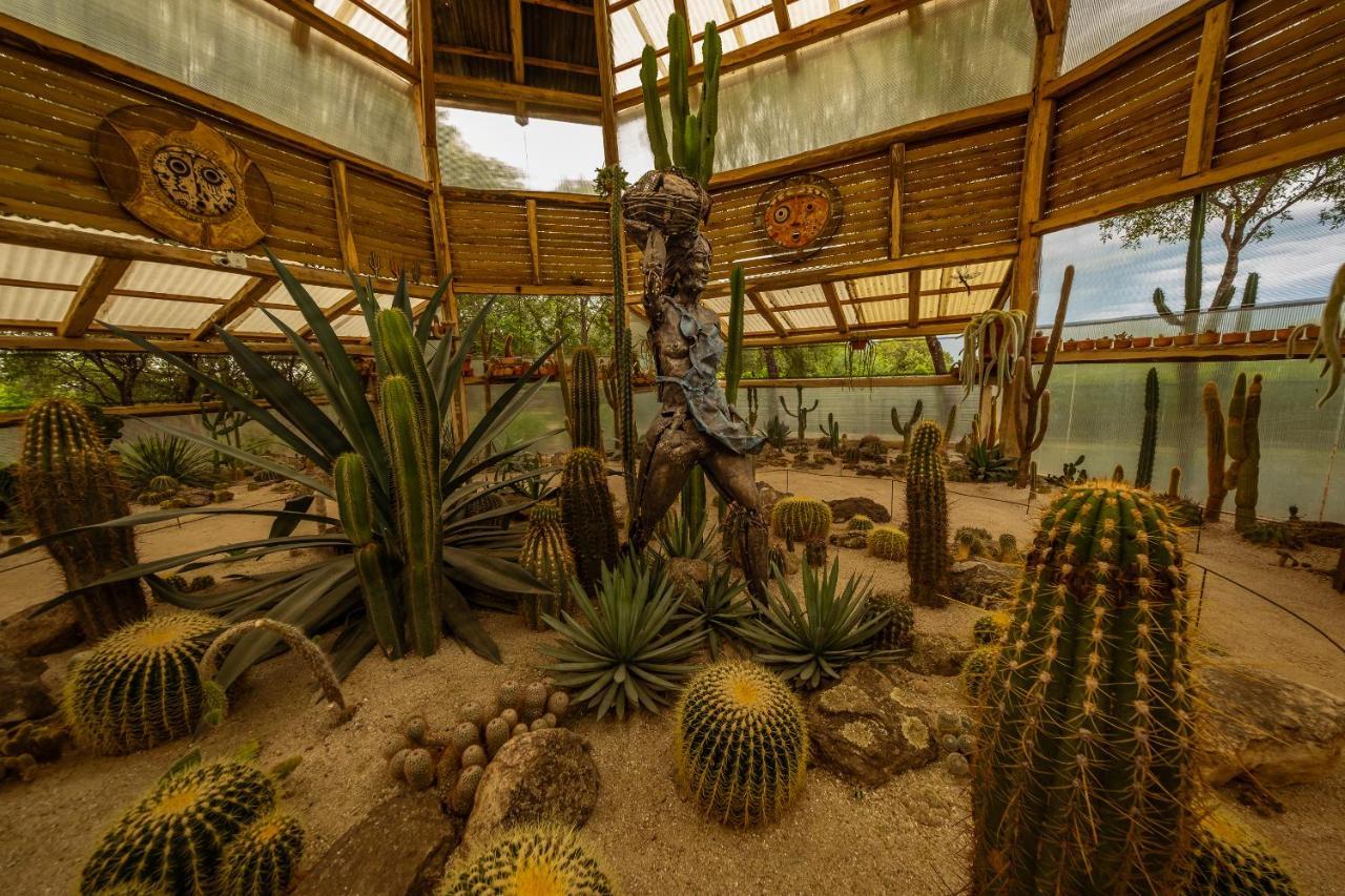 Araoz De Lamadrid Hotel&Bodega سان خافيير المظهر الخارجي الصورة
