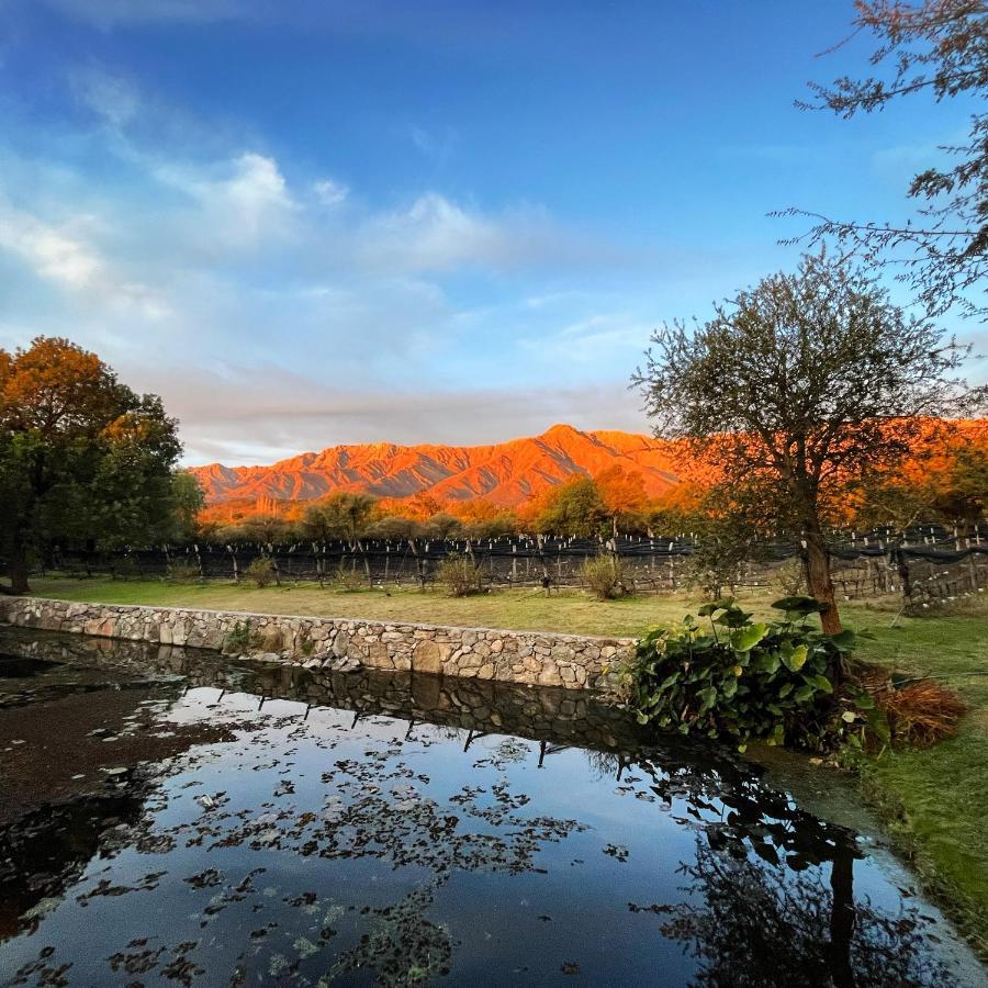 Araoz De Lamadrid Hotel&Bodega سان خافيير المظهر الخارجي الصورة
